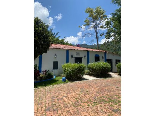 Teren w Caracas, Municipio Libertador