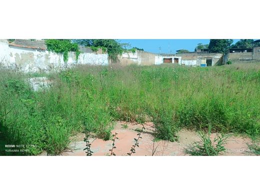 Land in Carúpano, Municipio Bermúdez