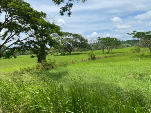 Farmhouse in Coro, Estado Falcón