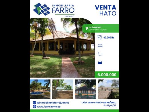 Farmhouse in La Soledad, Estado Apure