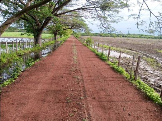 Ferme à Las Vegas, Municipio Rómulo Gallegos