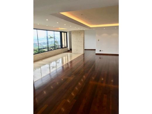 ﺷﻘﺔ ﻓﻲ كراكاس, Municipio Libertador