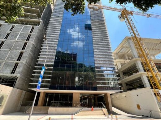 ‏משרד ב  קראקס, Municipio Libertador