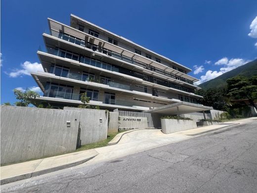 Apartment / Etagenwohnung in Caracas, Municipio Libertador