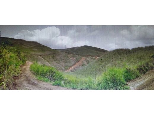 Arsa Karakas, Municipio Libertador