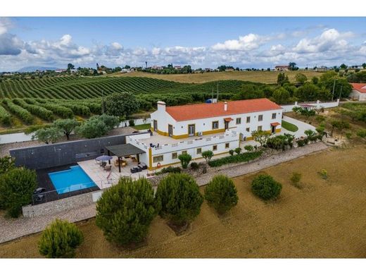 Apartment / Etagenwohnung in Outeiro da Várzea, Santarém