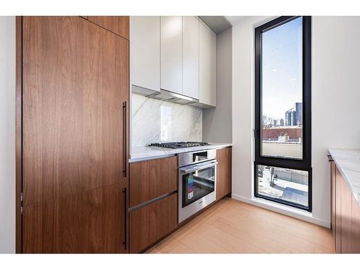 Apartment in Queensbridge Houses, Queens