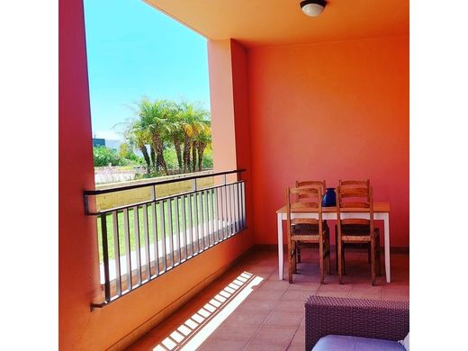 Apartment in Quarteira, Loulé