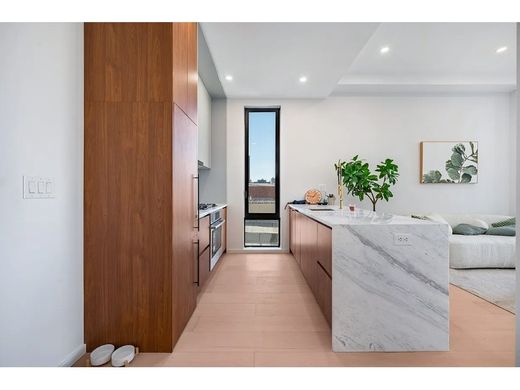 Apartment in Queensbridge Houses, Queens