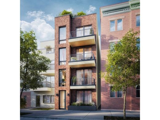 套间/公寓  布鲁克林区, Kings County