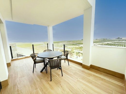 Villa in Algorfa, Alicante