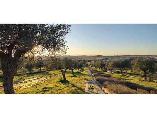 Ρουστίκ ή Αγροικίες σε Reguengos de Monsaraz, Distrito de Évora