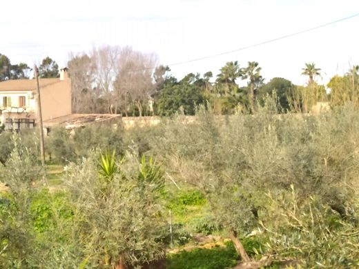 Casa de luxo - ses Salines, Ilhas Baleares