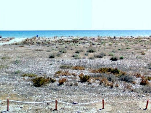 Land in Almenara, Castellon