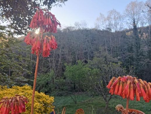 Casa de lujo en Vallgorguina, Provincia de Barcelona