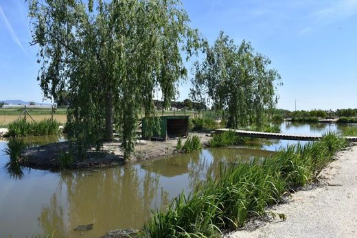 Casa de lujo en Amposta, Provincia de Tarragona
