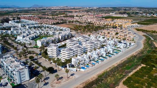 Luksusowy dom w Guardamar del Segura, Provincia de Alicante