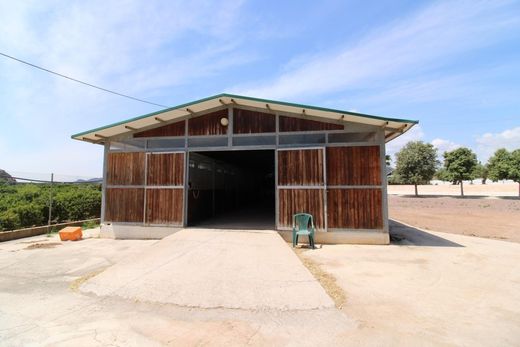 Land in Almenara, Castellon