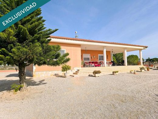 Villa in Elche, Alicante