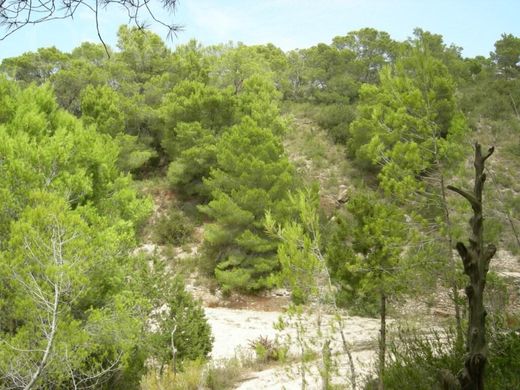 Land in Sant Joan de Labritja, Province of Balearic Islands