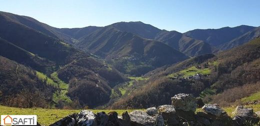 Terreno - Cangas del Narcea, Provincia de Asturias