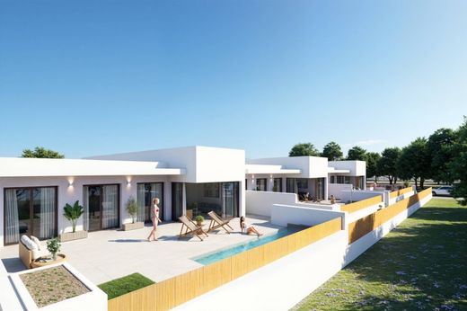 Luxury home in Dolores, Alicante