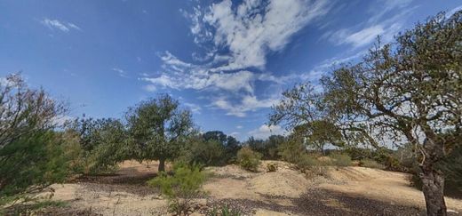 Terreno - Campos, Ilhas Baleares