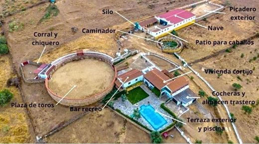 Arsa Higuera de Vargas, Provincia de Badajoz