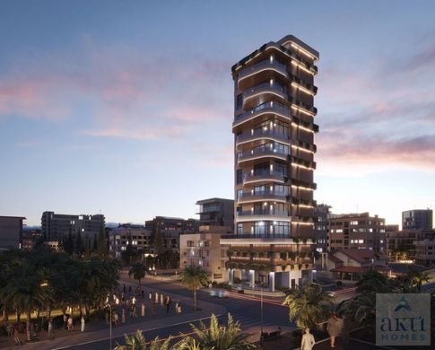 Daire Larnaka, Eparchía Lárnakas