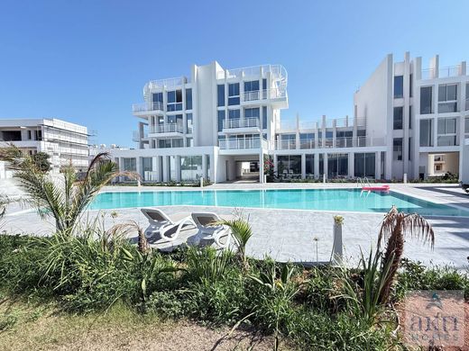 Daire Paralímni, Famagusta District