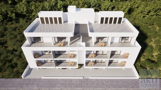 Daire Larnaka, Eparchía Lárnakas