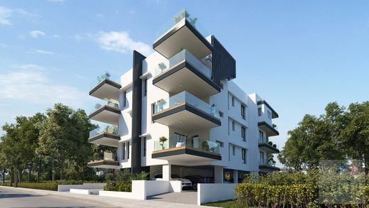 Daire Agía Ánna, Eparchía Lárnakas