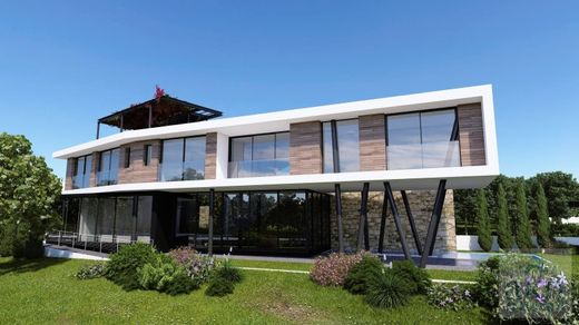 Частный Дом, Протарас, Paralímni