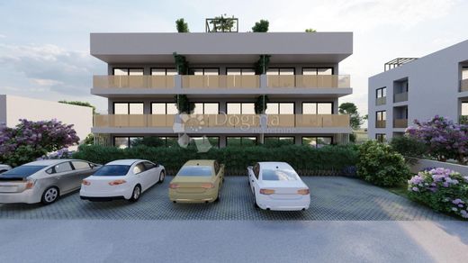 Arsa Privlaka, Zadar
