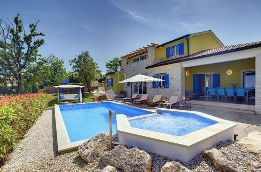 Πολυτελή κατοικία σε Žminj, Istria