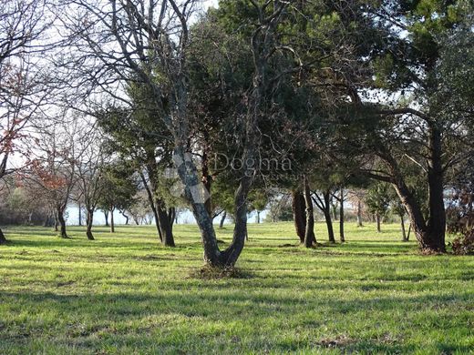 Land for sale in Tar