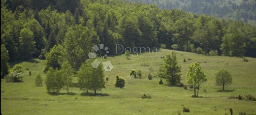 Αγροτεμάχιο σε Ravna Gora, Primorsko-Goranska