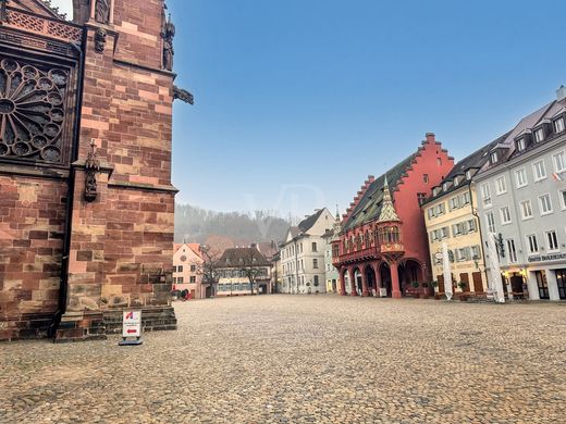 Appartement in Freiburg im Breisgau, Freiburg Region