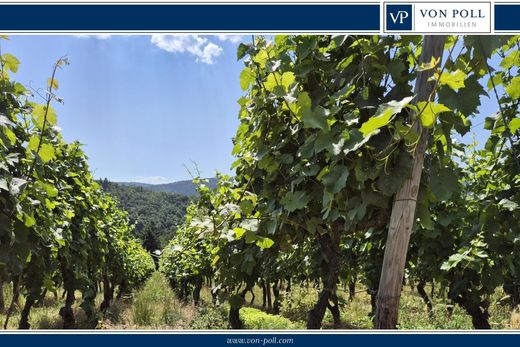 ﻣﺰﺭﻋﺔ ﻓﻲ Bad Neuenahr-Ahrweiler, Rheinland-Pfalz