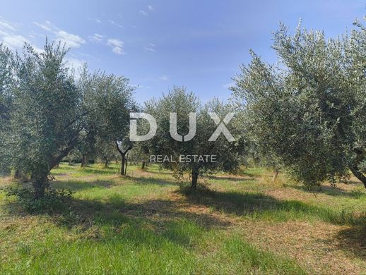 Kaštelir, Kaštelir-Labinciの土地