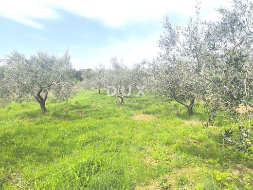 Grundstück in Medulin, Istria