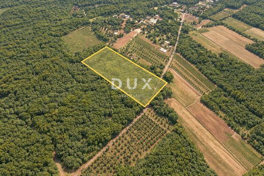 Arsa Marčana, Istria