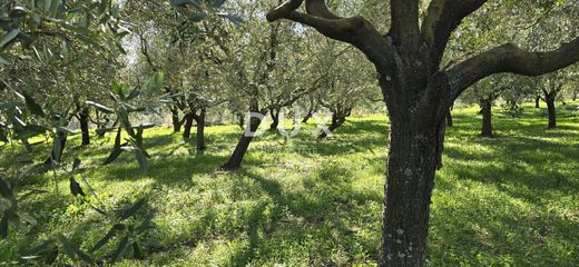 Land in Labin, Grad Labin