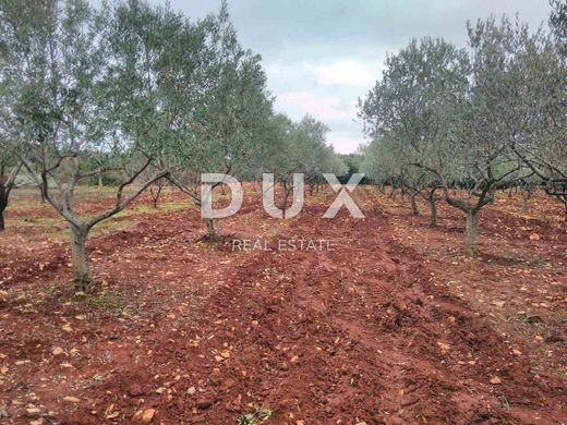 Marčana, Istriaの土地