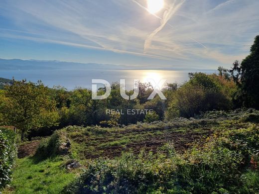 Arsa Opatija, Grad Opatija