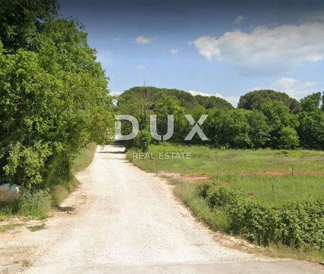 Arsa Poreč, Grad Poreč