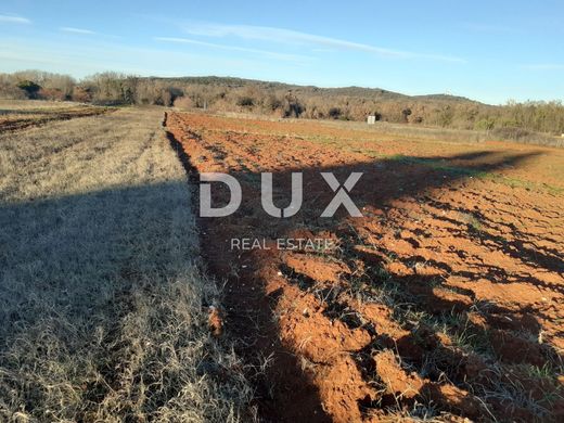 Arsa Rovinj, Grad Rovinj