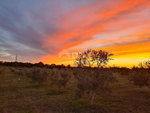 Αγροτεμάχιο σε Vodnjan, Grad Vodnjan