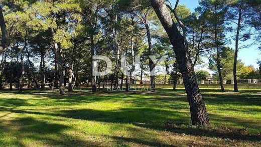 Αγροτεμάχιο σε Rovinj, Grad Rovinj