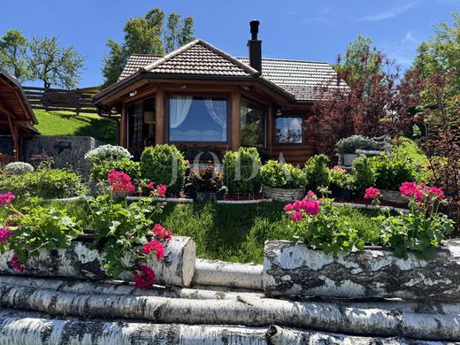 Luxus-Haus in Ravna Gora, Primorsko-Goranska